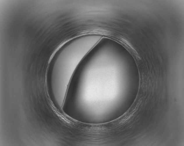 X0000058110788200509230819