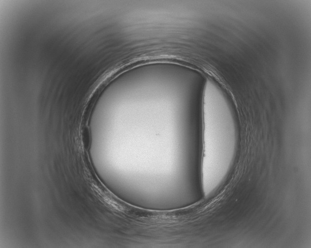X0000058110789200509230819