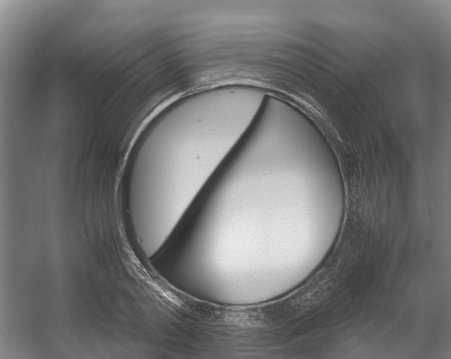 X0000058110790200509230819