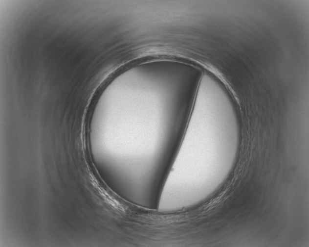 X0000058110791200509230819