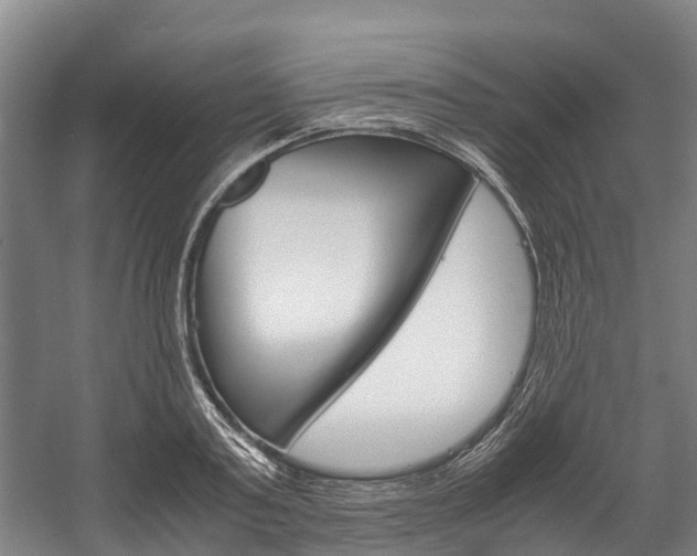 X0000058110795200509230819