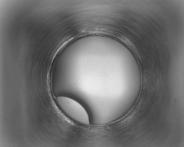 X0000058110798200509230819