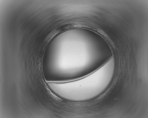 X0000058110801200509230819