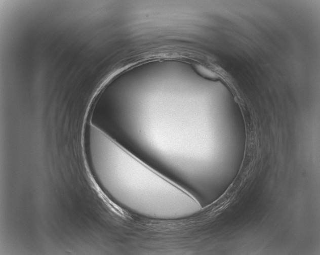 X0000058110803200509230819