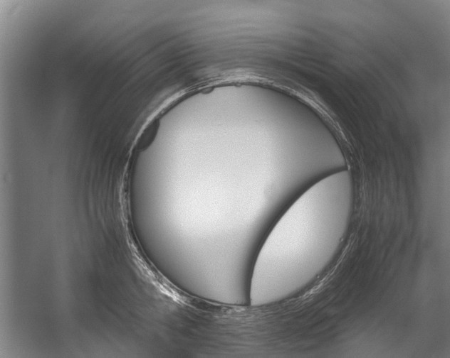 X0000058110806200509230818