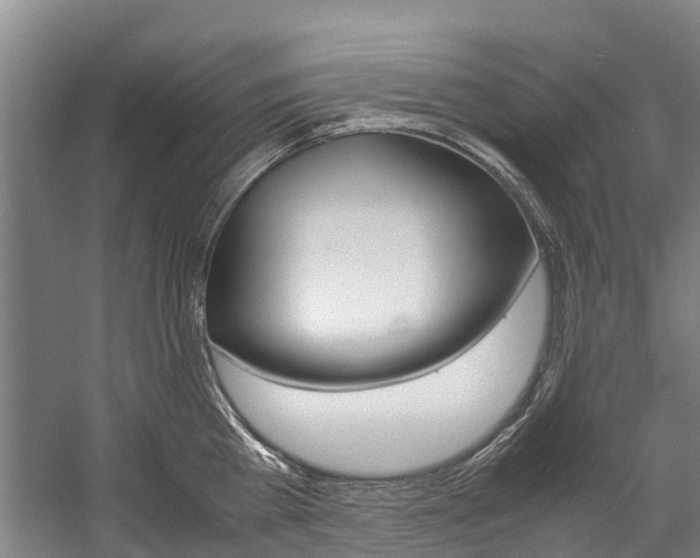 X0000058110809200509230818