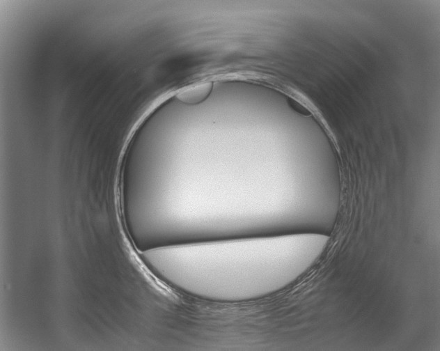 X0000058110811200509230818