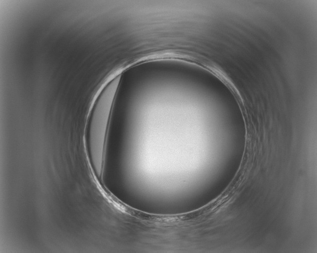 X0000058110813200509230818