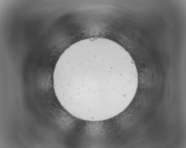 X0000058110820200509230818