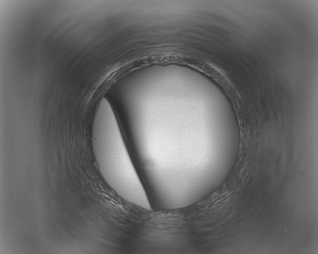 X0000058110823200509230818