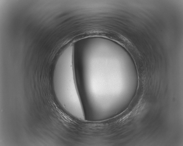 X0000058110825200509230818