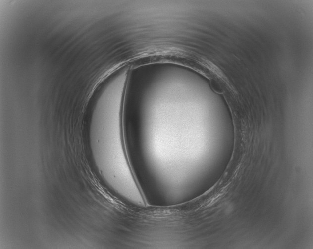 X0000058110826200509230818