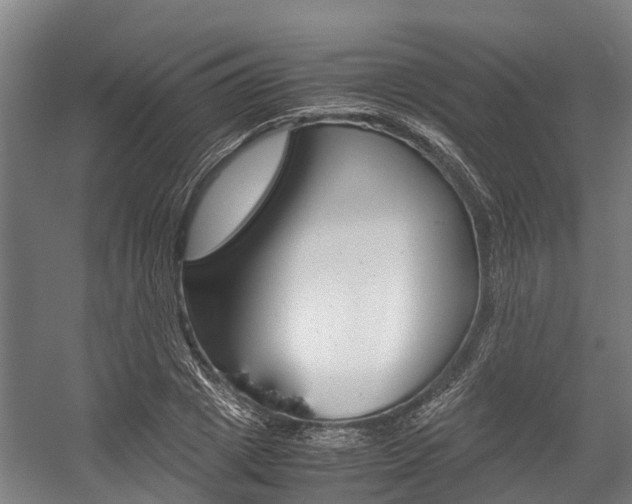 X0000058110833200509230818