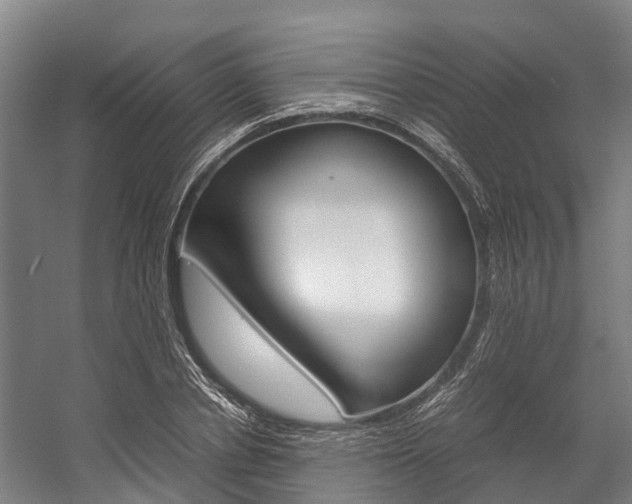X0000058110834200509230818
