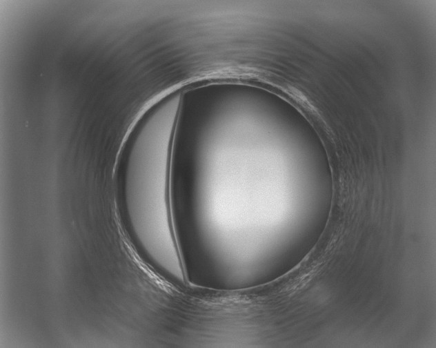 X0000058110838200509230818