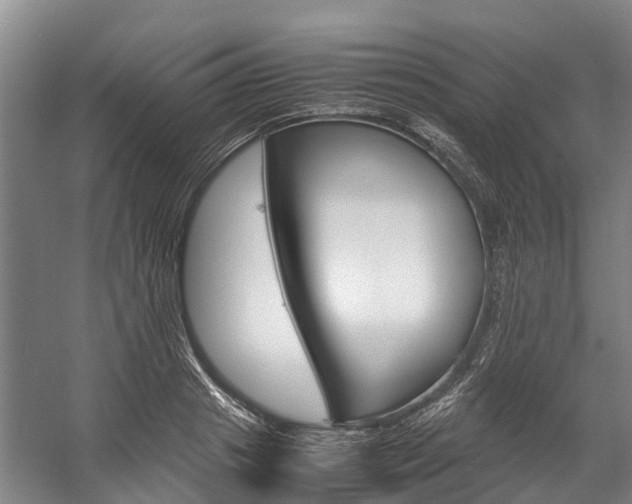 X0000058110841200509230818
