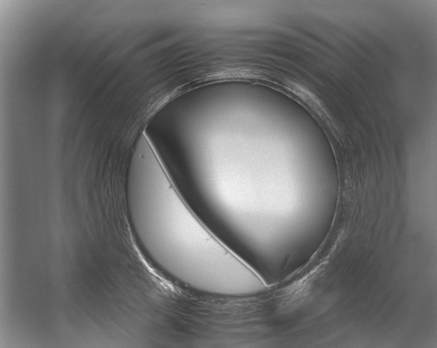 X0000058110849200509230818