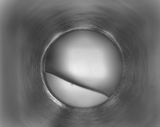X0000058110851200509230818