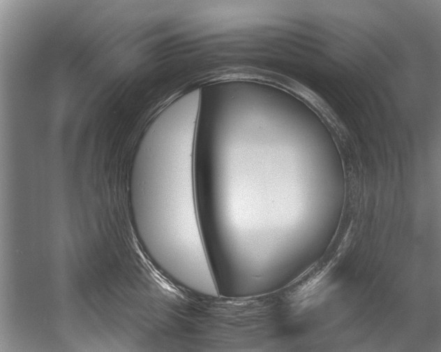 X0000058110857200509230818