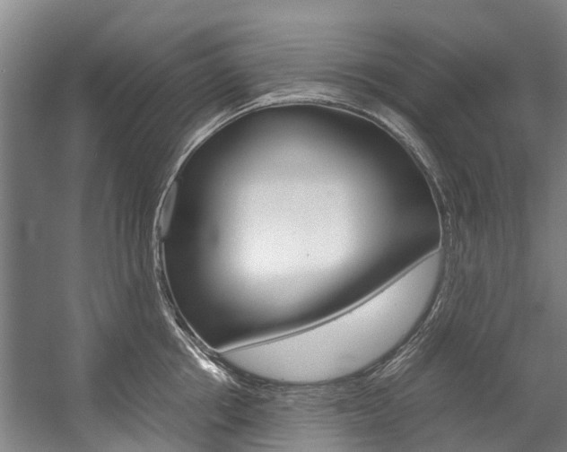 X0000058110858200509230818