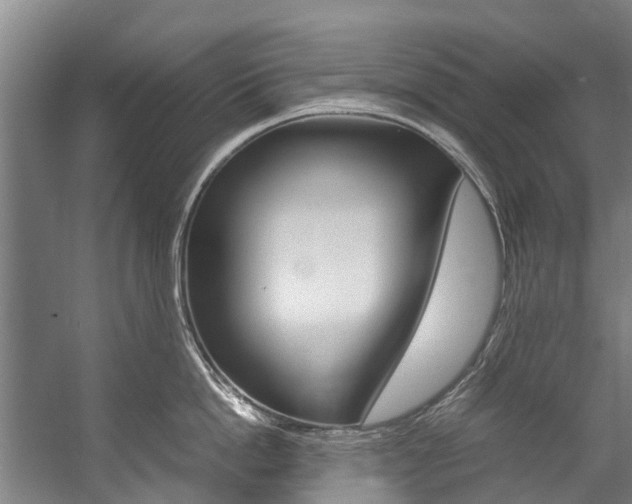 X0000058110862200509230818