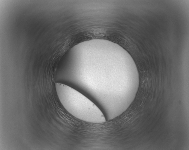 X0000058110866200509230817