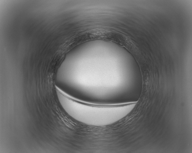 X0000058110868200509230817
