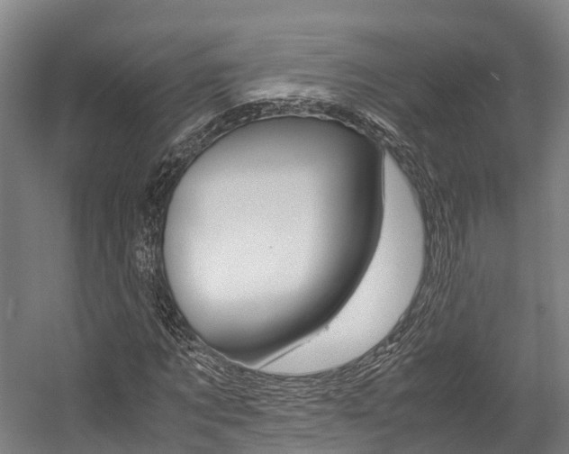 X0000058110869200509230817