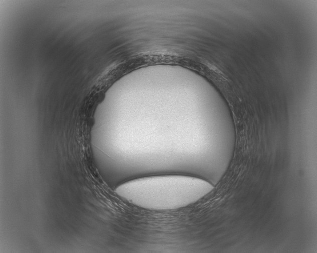 X0000058110870200509230817