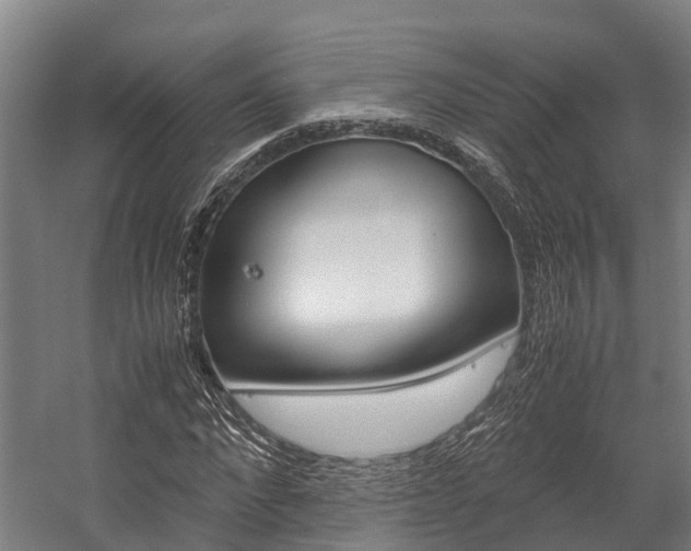X0000058110872200509230817