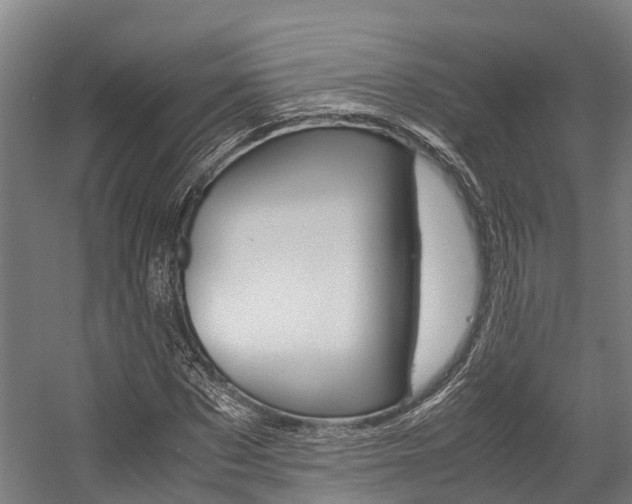 X0000058110873200509230817