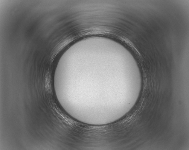X0000058110874200509230817