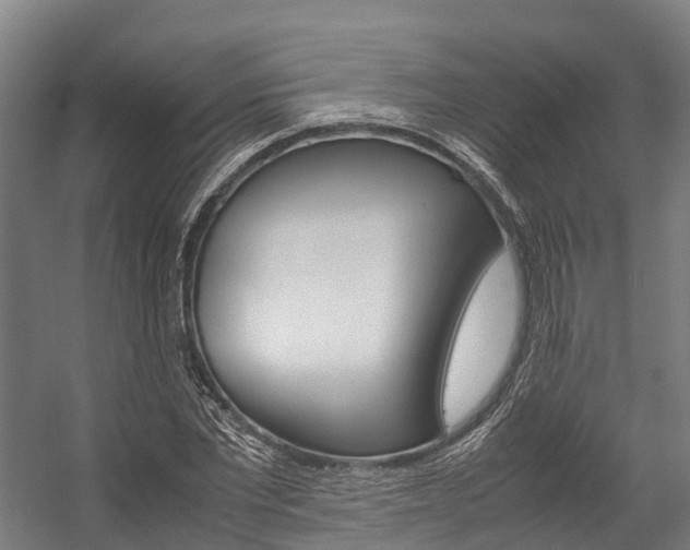 X0000058110877200509230817