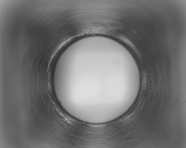 X0000058110878200509230817