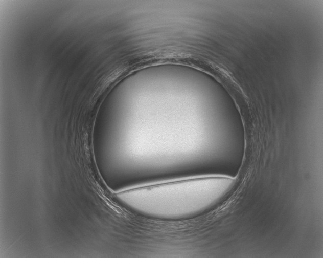 X0000058110881200509230817