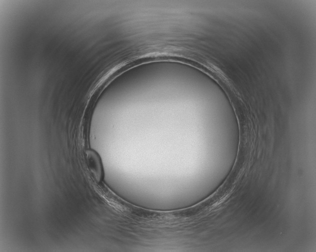 X0000058110885200509230817
