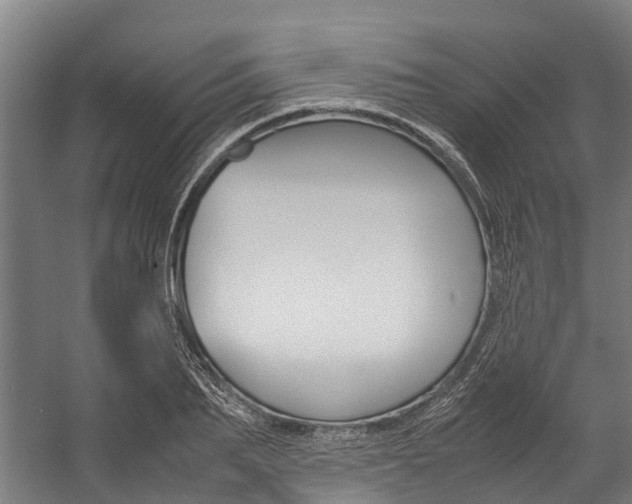 X0000058110887200509230817