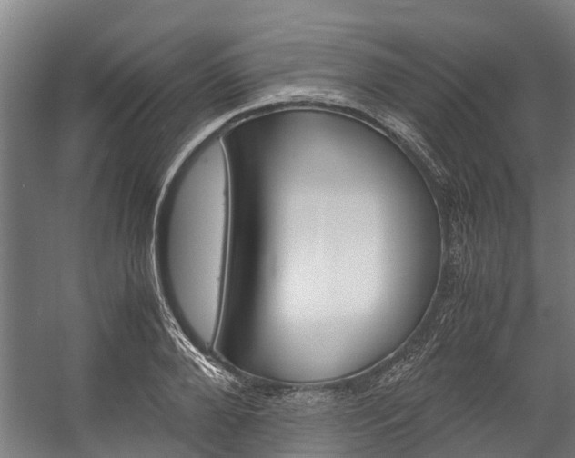 X0000058110888200509230817