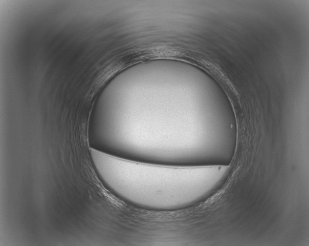 X0000058110889200509230817