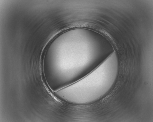 X0000058110894200509230817