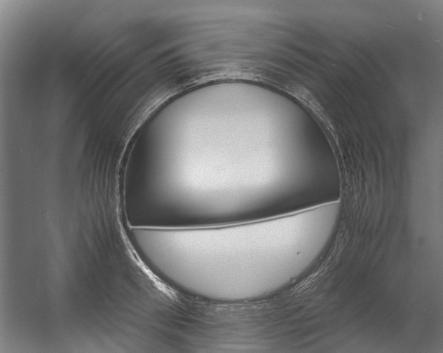 X0000058110898200509230817