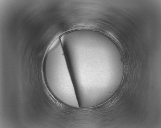 X0000058110899200509230817