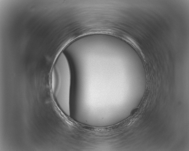 X0000058110907200509230817
