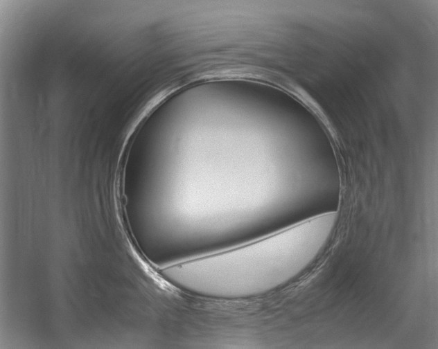 X0000058110909200509230817