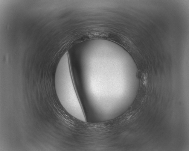 X0000058110915200509230816