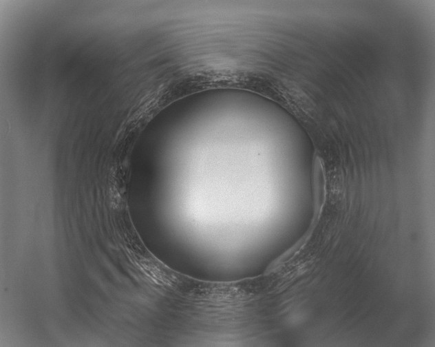 X0000058110916200509230816