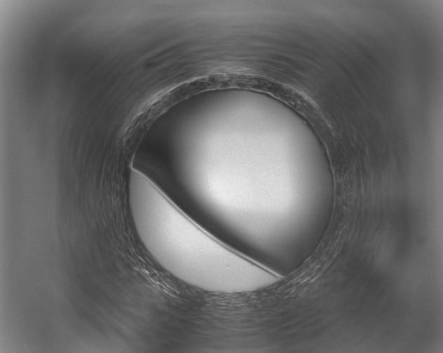 X0000058110919200509230816