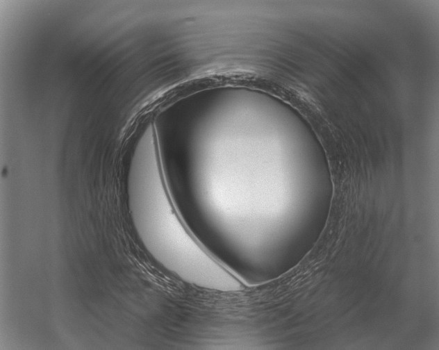 X0000058110920200509230816