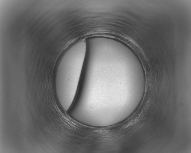 X0000058110929200509230816