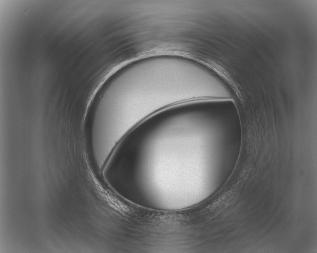 X0000058110934200509230816